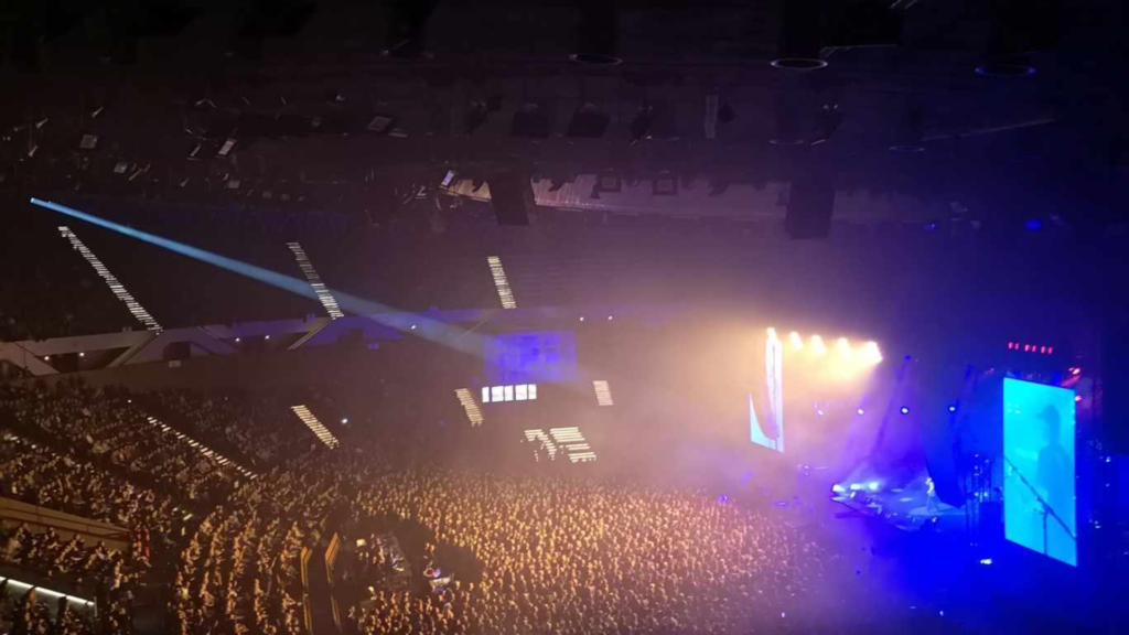 coma, koncert, muzyka, słowa